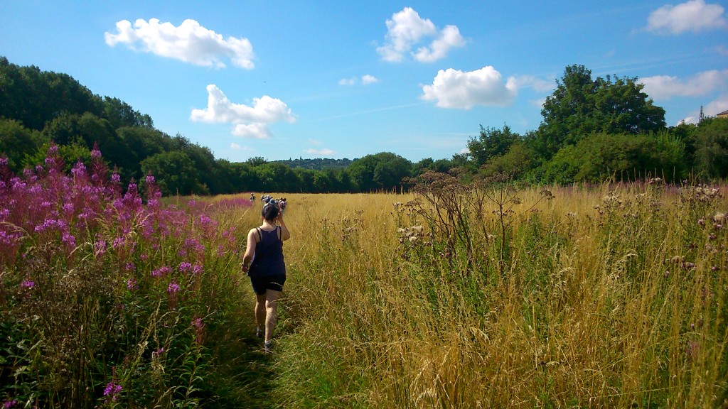 Heading out across the savannah... (aka the meadow between Bradford Beck and Shipley station, currently threatened by Morrisons)