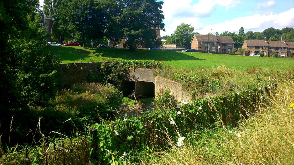 Tracking the Beck upstream along the greenway on Canal Road... Barney Lerner, chairman of the Friends of Bradford's Becks, told us about plans to remove this "box culvert" that the river currently runs through - if the money can be found!