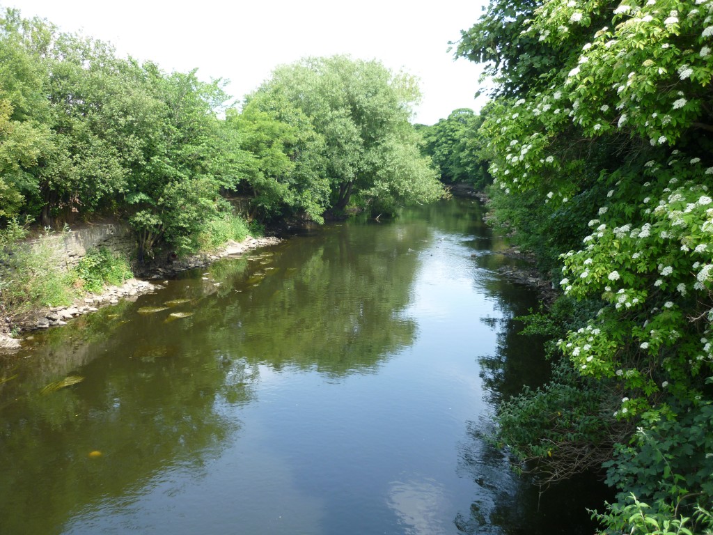 shipley river day 037